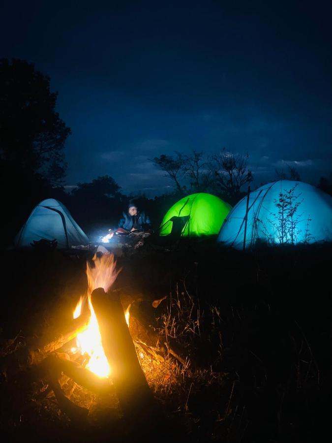 Dreamwoods A Travellers Farm Hostel Дхарамсала Екстериор снимка